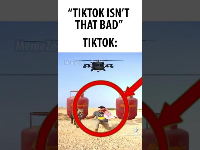 TikTok Moment