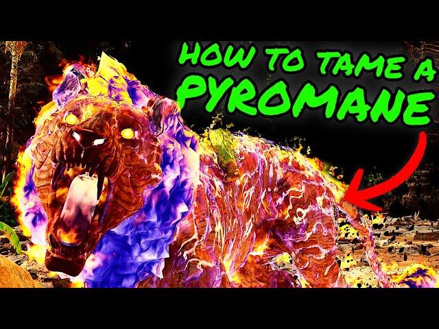 PYROMANE Easy Taming Guide! How to Tame a Pyromane on The Center in Ark Survival Ascended!