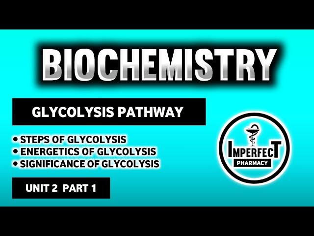 Glycolysis Pathway | Energetics And Significance Of Glycolysis | Carbohydrates Metabolism | Biochem