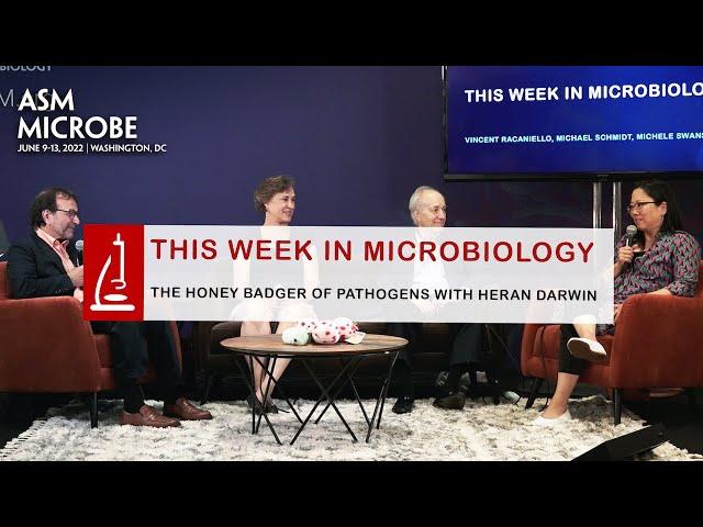 This Week in Microbiology: The Honey Badger of Pathogens With Heran Darwin