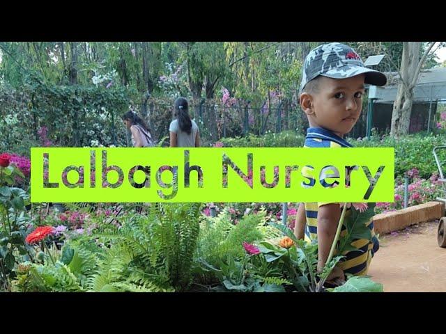 Lalbagh Nursery - A one stop for all your gardening needs.(ಲಾಲ್ ಬಾಗ್ ಸಸ್ಯ ಧಾಮ )#nursery  #bengaluru