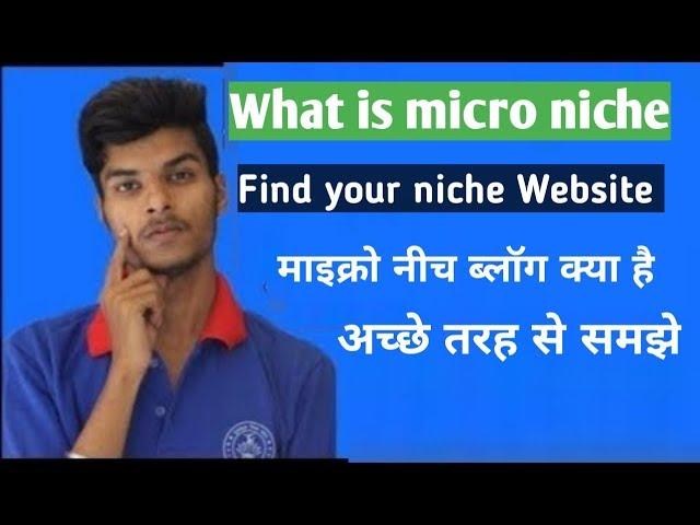 What is micro niche blog | micro niche blog kya hai | micro niche topics ka use kaise use kare