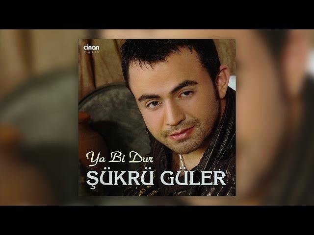 Şükrü Güler - Papatyam