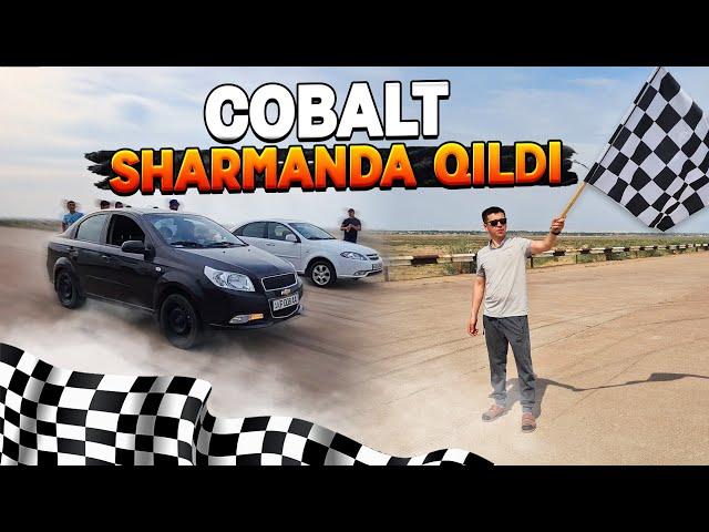 SHARMANDA QILDING COBALT