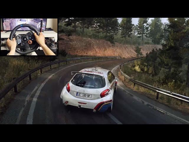 PEUGEOT 208 R5 T16  - Dirt Rally 2.0 - Logitech G29 gameplay