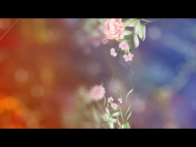 flowers motion frame background : Wedding title & Invitation textfree background