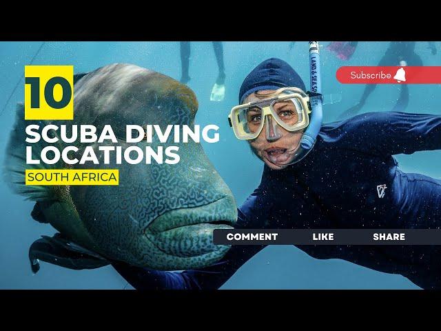 [2023] South Africa Dive Sites That Will Blow Your Mind: Top Scuba Diving Locations