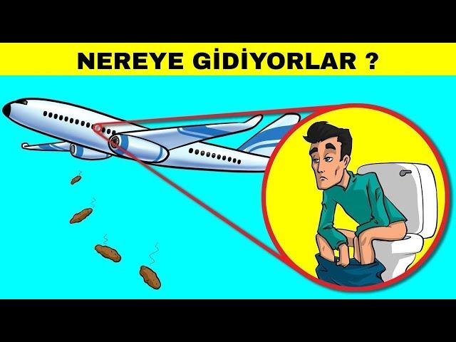 Herkesin Merak Ettiği Ama Çok Az Kişinin Bildiği İlginç Gerçekler