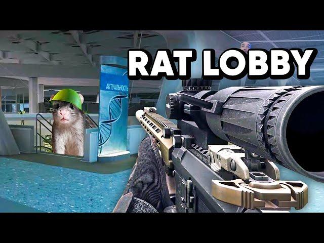 HOW I KILLED THE NASTIEST RATS ON LABS