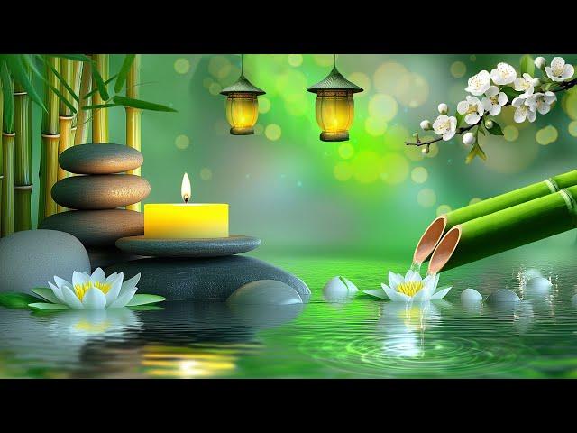 Best RELAXING MUSIC for Stress Relief in 2024! #3