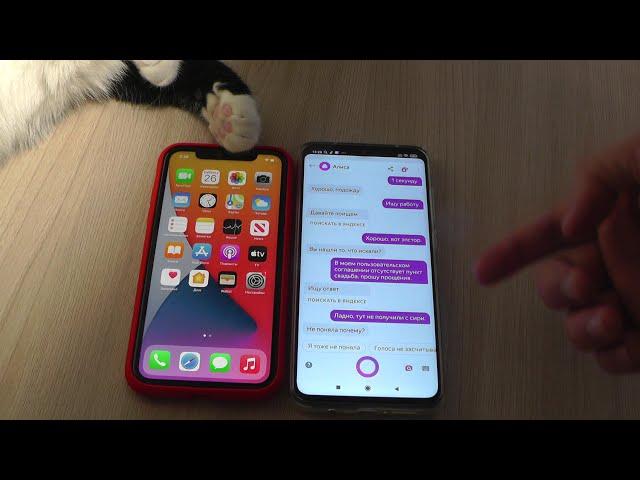 Новые Siri и Алиса общаются друг с другом