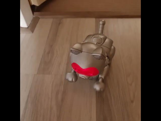 "Happy Robot Cat"