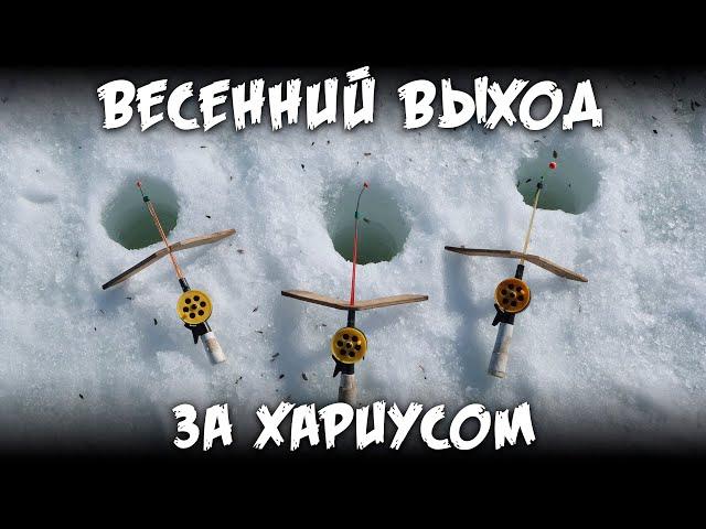 Весенний выход за хариусом / 4К