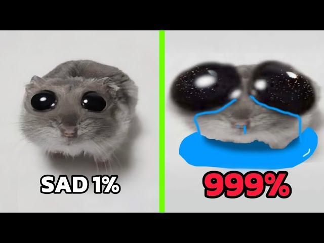 Sad Hamster Becomes More Sad