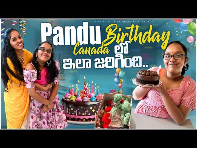 Pandu birthday ila jarigindi | నా childhood repeat అవుతుంది ️| ఈసారి gift ఏంటో తెలుసా ?