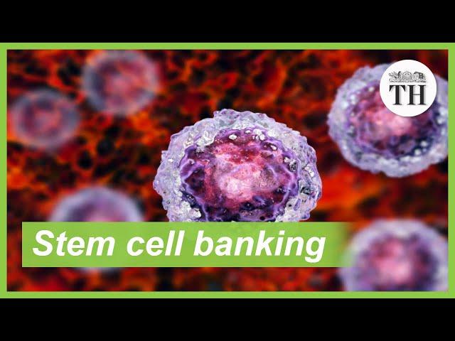 Stem cell banking and its benefits