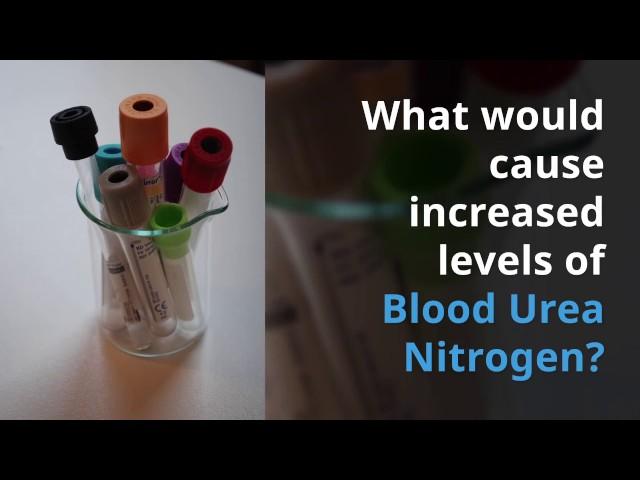 Blood Urea Nitrogen (BUN) (Nursing Lab Values)