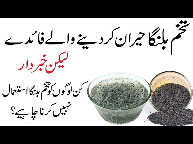 Tukh malanga ke fayde | tukh malanga khane ke fayde (Basil seeds)