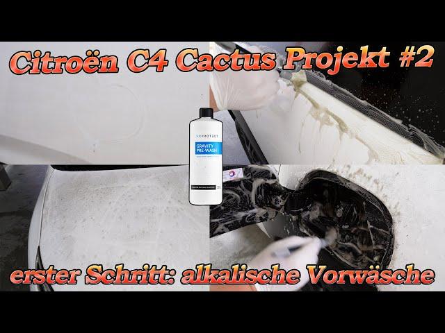 5 Jahre Biomasse! Citroën Projekt Teil 2 - Ausführliche alkalische Vorwäsche der wichtigste Schritt