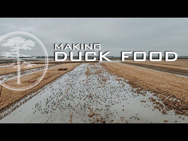 Duck Hunting- Planting DUCK FOOD and Burning Duck Blinds!