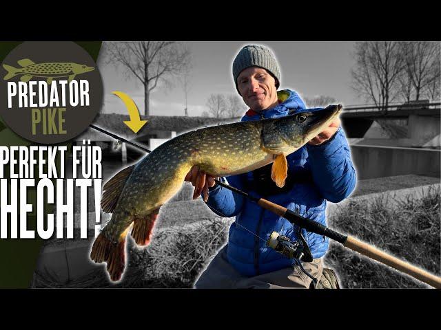 We built a pike rod  The Predator Pike Light in action!