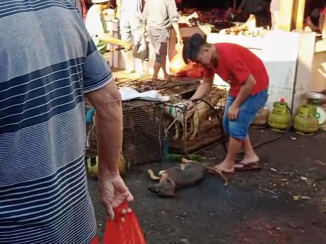 Gukguk Panggang - Pasar Ekstrem, Tomohon, Sulawesi Utara