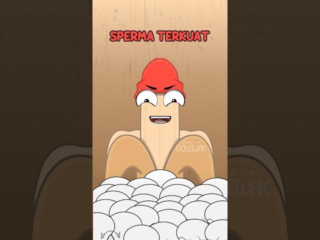 Umur Sperma dan Sel Telur #animasidolewak