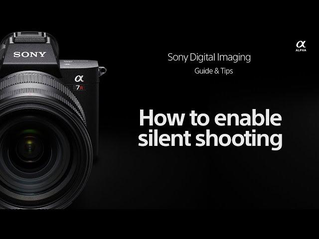 Sony | How To's | How to enable Silent Shooting for Sony Alpha cameras