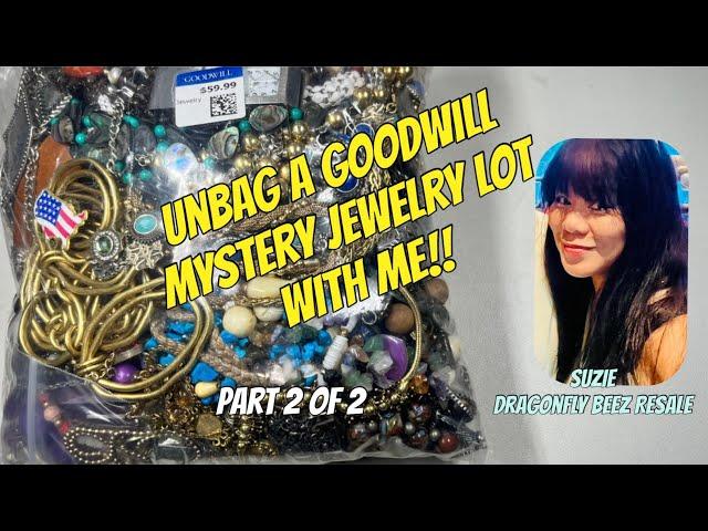 UNBAGGING a Goodwill Mystery Sale - Part 2 of 2