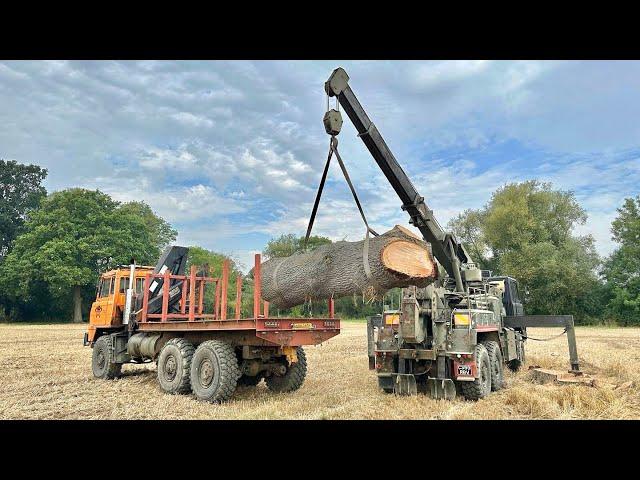 FODEN TRUCKS MOVING LARGE OAK TREES