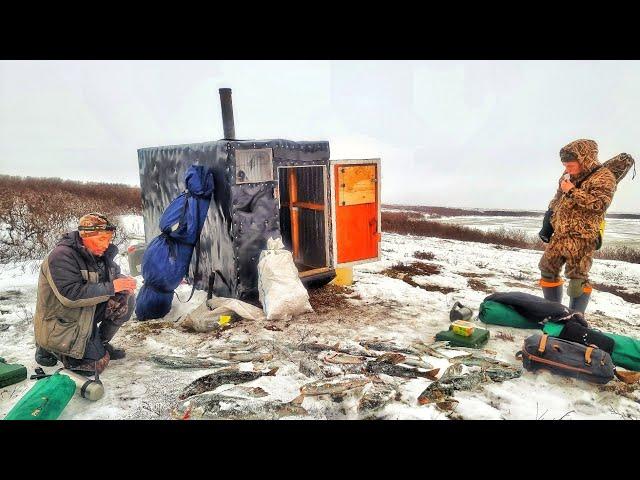 СЧАСТЛИВЫЕ ЛЮДИ АРКТИКИ! СУРОВАЯ РЫБАЛКА И ЖИЗНЬ НА КРАЮ СВЕТА ! Заполярье ч.5