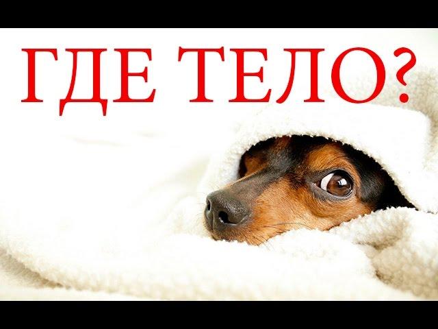 FEELTHEDEN: ГДЕ ТЕЛО (HD 720)