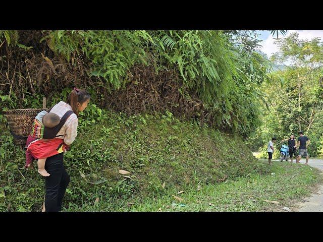 Single mother picks sweet star fruit to sell. Discovers bad husband is being bullied