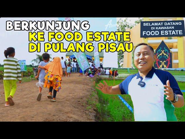 GEBYAR !!! BERKUNJUNG KE FOOD ESTATE DI DESA PULANG PISAU KALIMANTAN