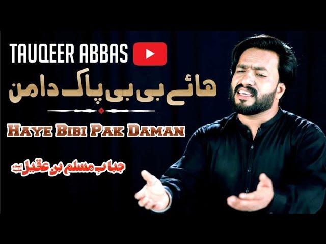 Haye Bibi Pak Daman By Tuqeer Abbas Noha  |  Nohay | Mir hasan mir |  Noha #noha