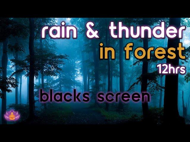 [Black Screen] Light Rain and Thunder in Forest | Rain Ambience | Rain Sounds for Sleeping