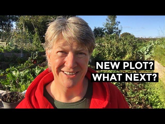 New Allotment Plot from bare soil to first harvests