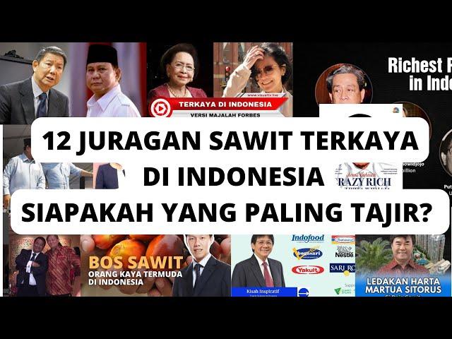 12 JURANGAN SAWIT TERKAYA DI INDONESIA, SIAPAKAH YANG PALING TAJIR MELINTIR? Versi HAISAWITBEBAS