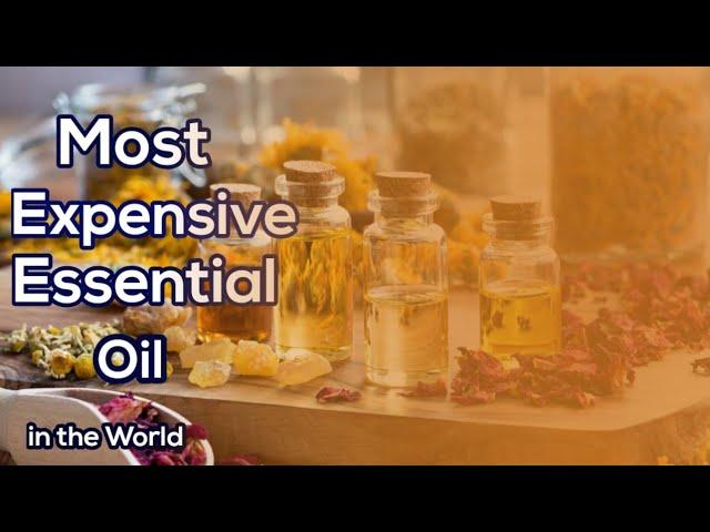 Most Expensive Essential Oils in the World