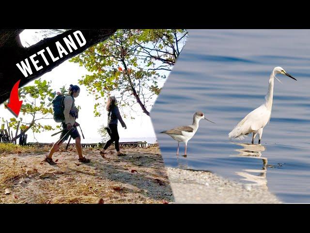 Las Piñas-Parañaque Wetland Park: Metro Manila's Last Coastal Frontier