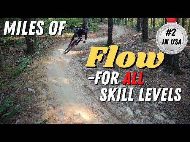 MTB Flow Trail is #2 in USA! Best of Dupont State Forest MTB - Ridgeline, Hooker, Hickory Mountain