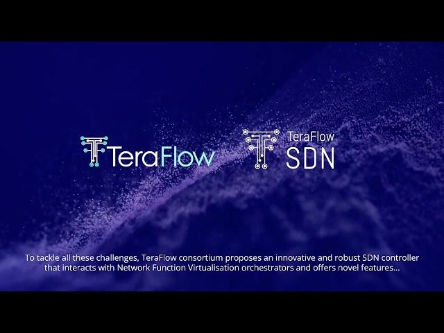 TeraFlow:  Secured autonomic traffic management for a Tera of SDN flows