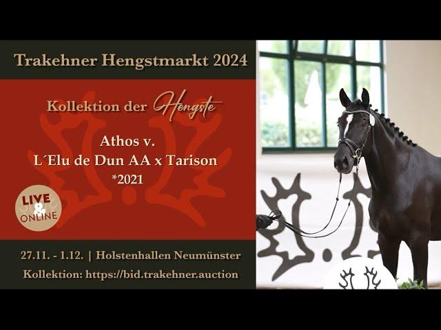 39 - Athos - Hengst v. L´ Elu de Dun AA - Tarison *2021