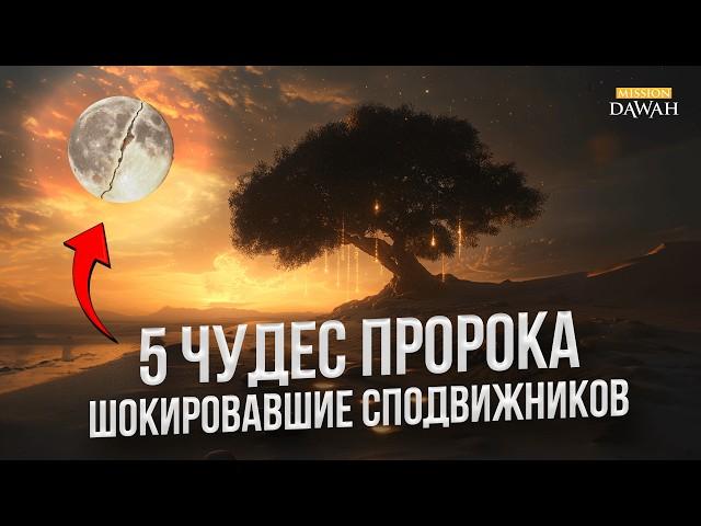 5 Чудес Пророка Мухаммада ﷺ Которые Потрясли Сподвижников