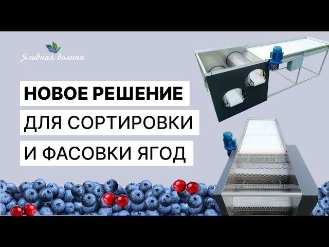 Обзор нового оборудования для калибровки и фасовки ягод + умные весы.