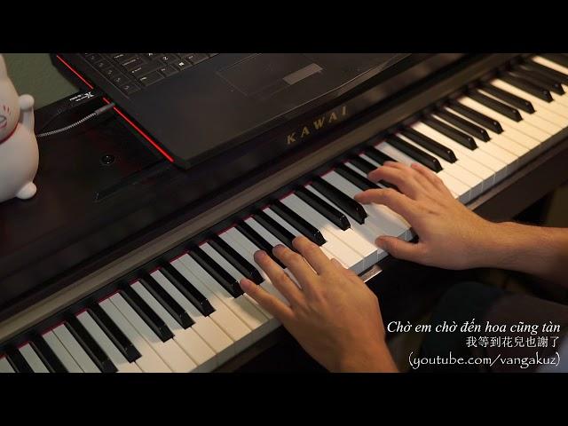 Chờ em chờ đến hoa cũng tàn ~ 我等到花兒也謝了 [piano w/ sheet]