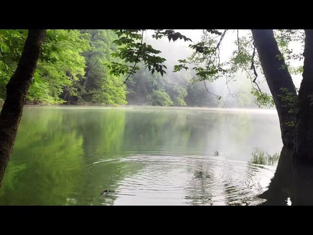 Churat Lake   IRAN   Mazandaran Province   4K   full