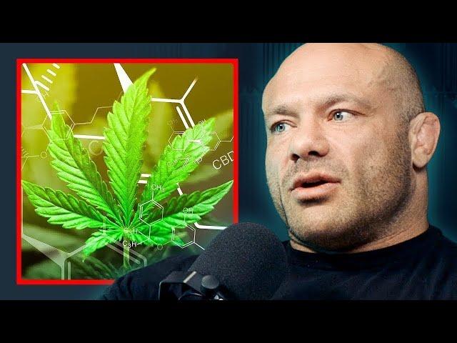 Exercise Scientist’s Opinion On Weed And Recovery - Dr Mike Israetel