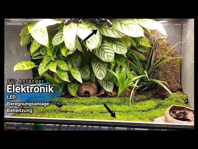 Terrarium - Elektronik für den Anfänger (Regenwaldterrarium für den Pfeilgiftfrosch)