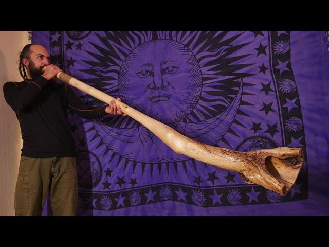 Didgeridoo D# - sound sample